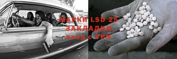 хмурый Бородино