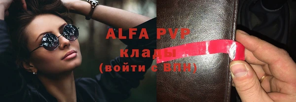 хмурый Бородино