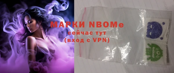 хмурый Бородино