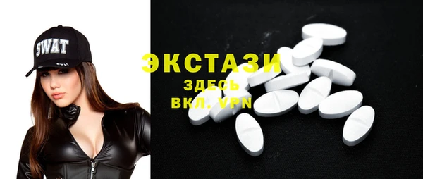 хмурый Бородино