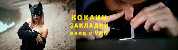 хмурый Бородино