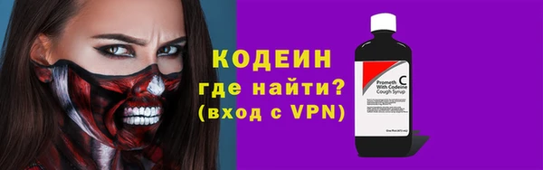 хмурый Бородино