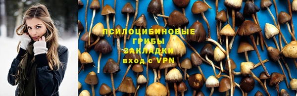 хмурый Бородино
