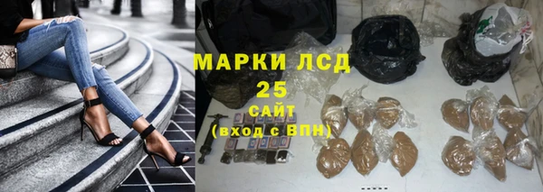 хмурый Бородино