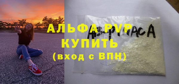 хмурый Бородино