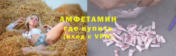 хмурый Бородино